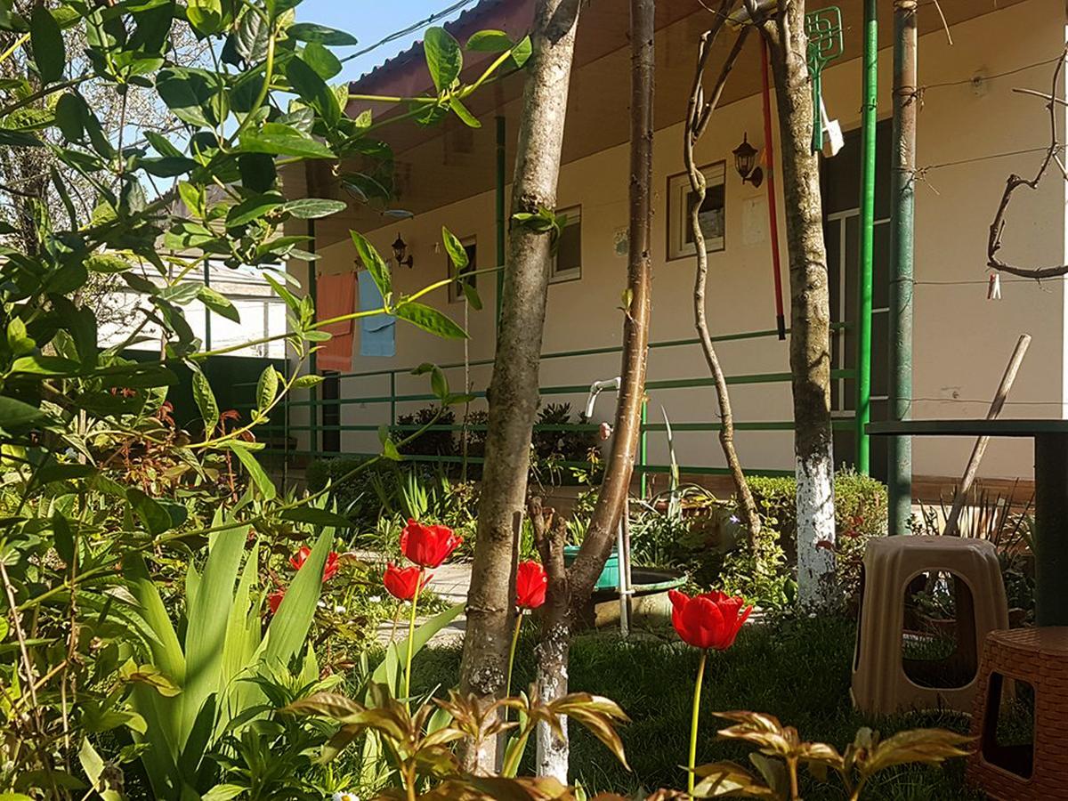 Guest House Villa Kvareli Esterno foto